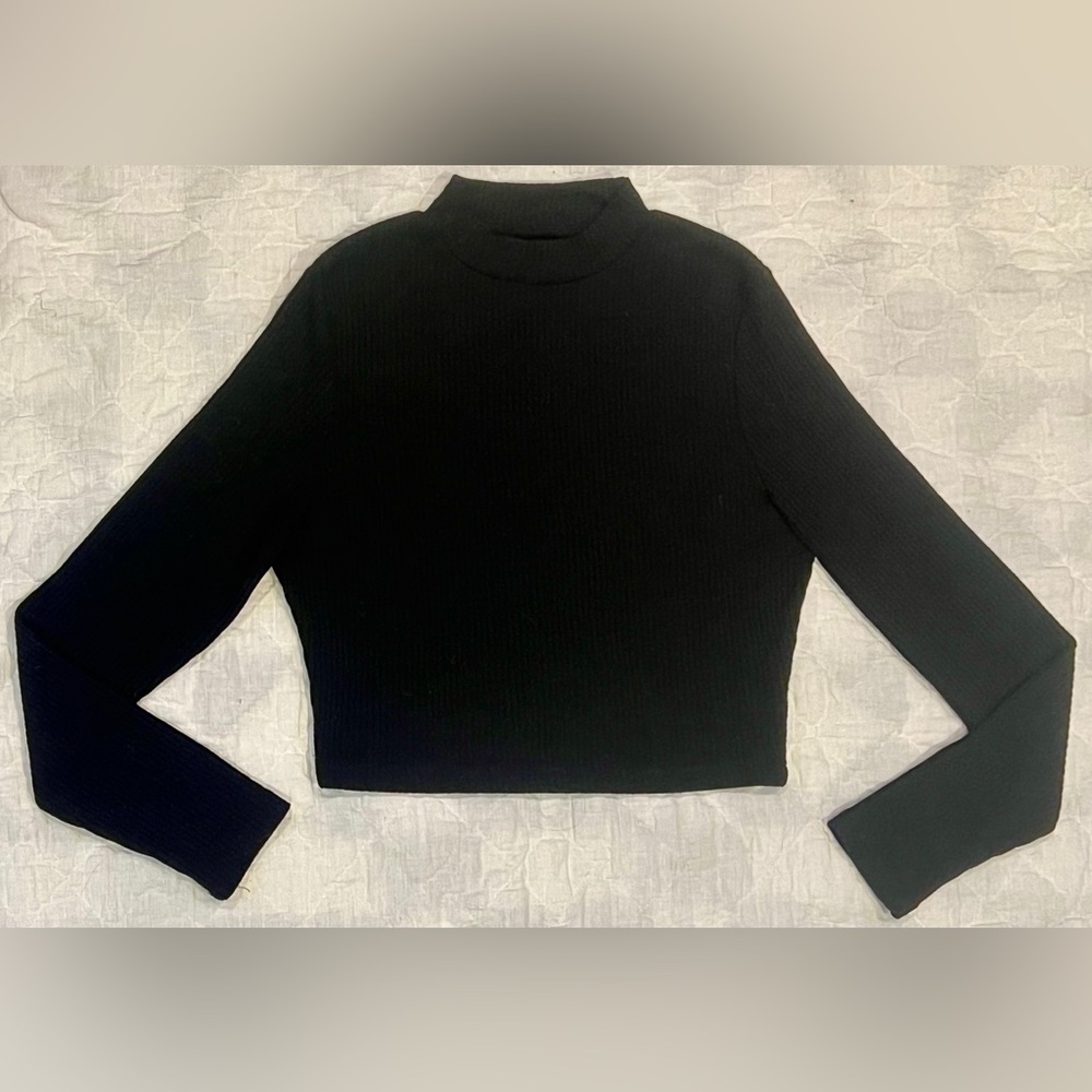 Long Sleeve Black Ribbed Cropped Top